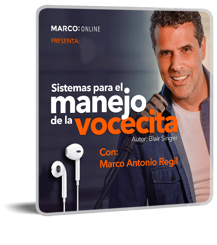 Sistemas para el manejo de la vocecita Sistemas para el manejo de la vocecita