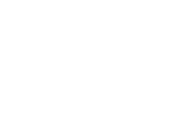 Marco Antonio Regil en Fórmula