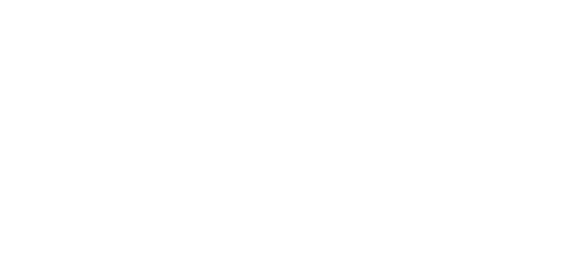 Fiesta Americana Patrocinador Oficial